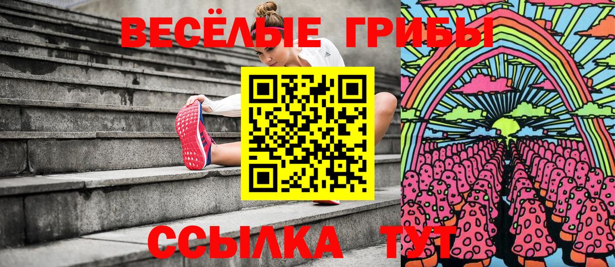 Псилоцибиновые грибы Psilocybe Лиски