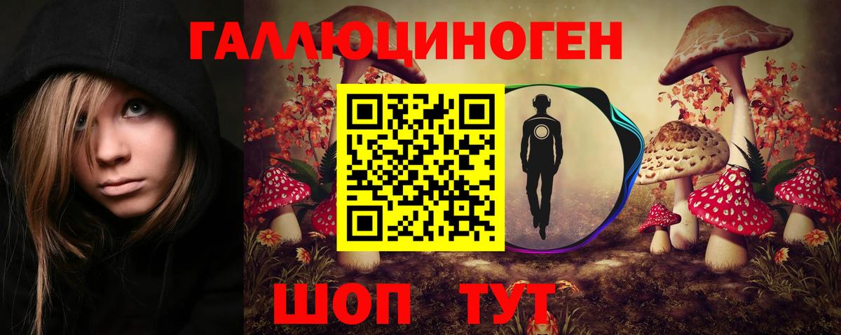 Псилоцибиновые грибы GOLDEN TEACHER  Галлюциногенные грибы Psilocybine cubensis  цены   Вход с VPN  Лиски 